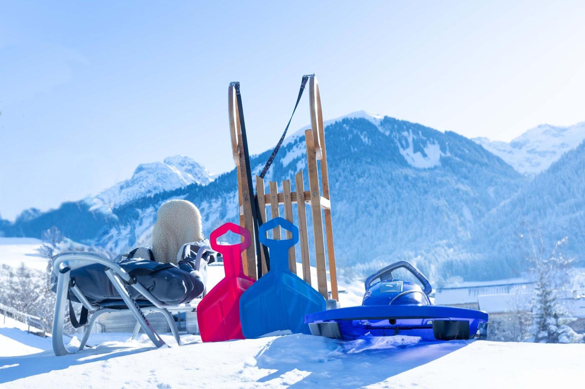 Haus Theresia Ruef Au (Vorarlberg) Luaran gambar
